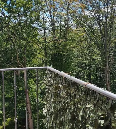 Plava Zvezda U Kompleksu Titova