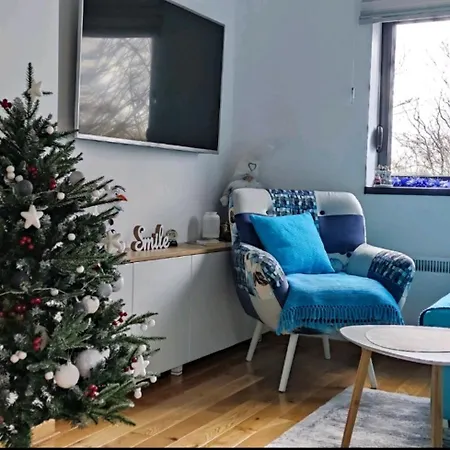 Plava Zvezda U Kompleksu Titova *