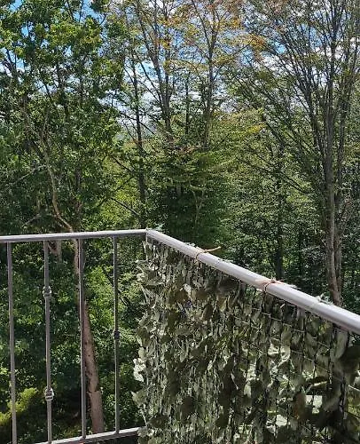 Plava Zvezda U Kompleksu Titova