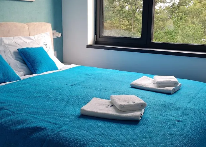 Plava Zvezda U Kompleksu Titova